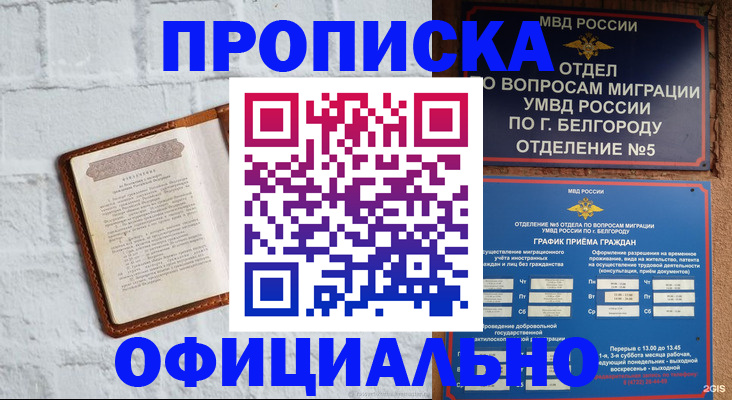 временная регистрация для школы в Апатитах